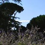 Panoramic Quirinal Penthouse