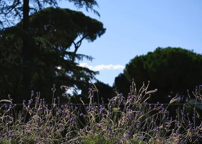 Panoramic Quirinal Penthouse