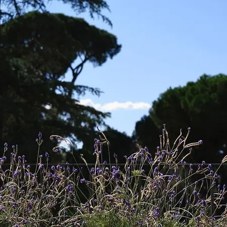 Panoramic Quirinal Penthouse